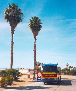 Greyhound bus in California