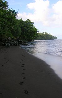 Footprints on Paama's black sand beach